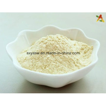 Natural High Quality N ° CAS 90045-38-8 Extrait de ginseng